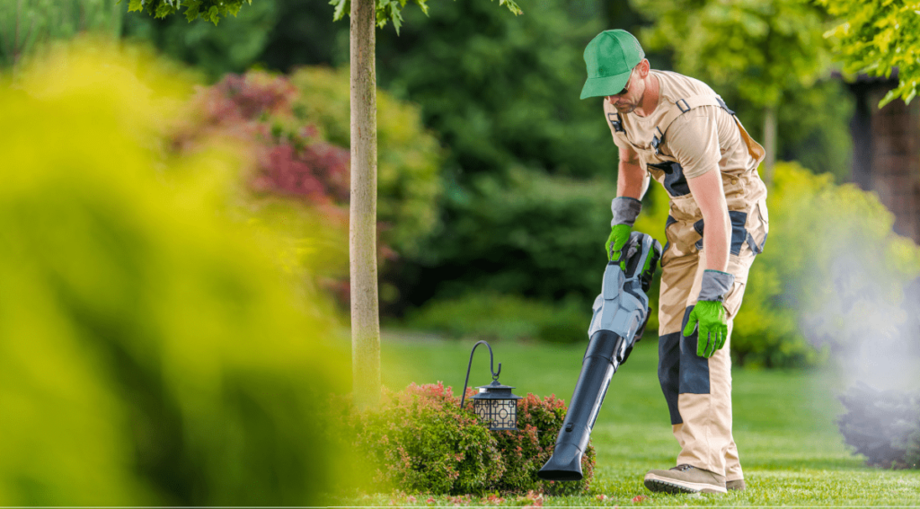 Why Choose Professional Once-off Cleaning Over DIY Solution?