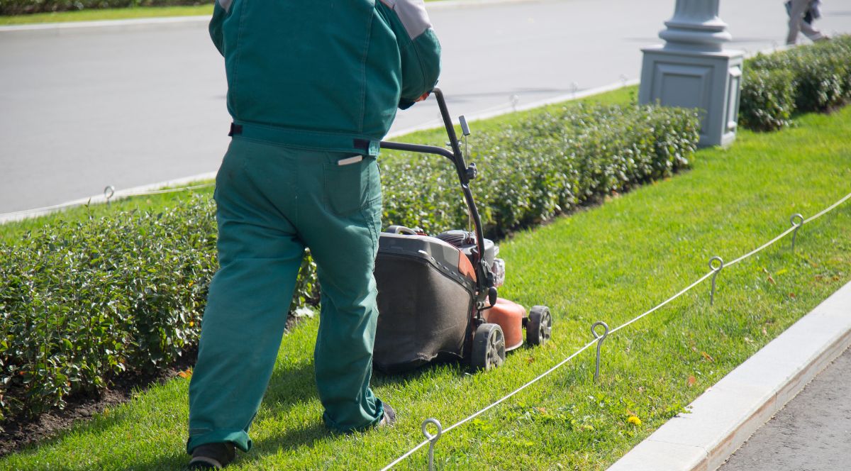 garden services pretoria a facilities manager's guide to commercial maintenance
